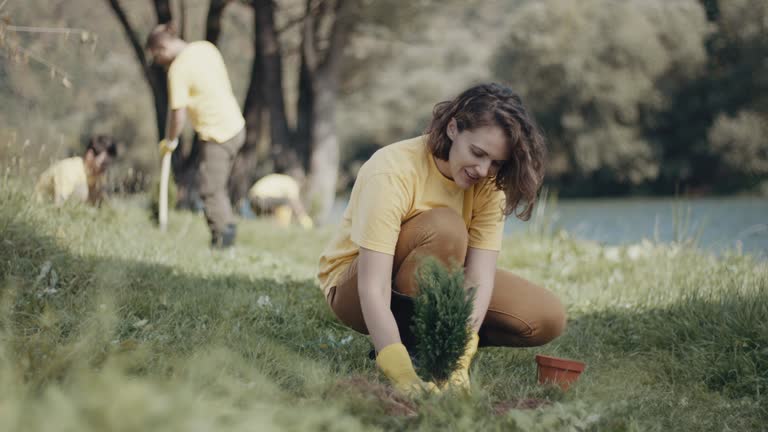 Best Organic Lawn Care Solutions  in East Aurora, NY